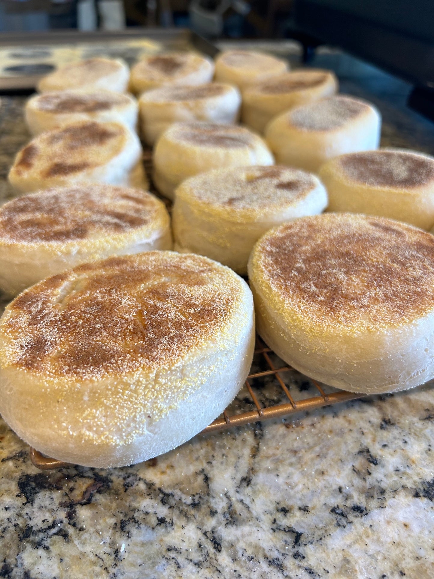 Sourdough Jumbo English Muffs