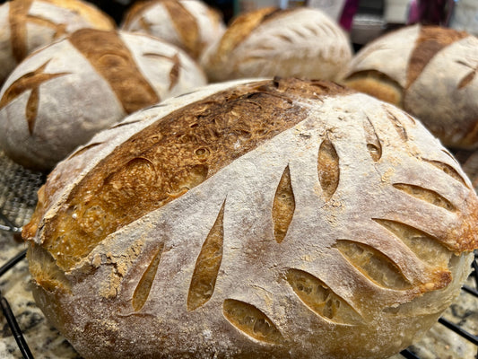 Roasted Garlic Sourdough Bread